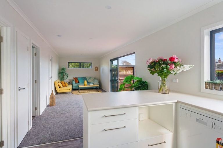 Photo of property in 52c Dunstan Street, Otaki, 5512