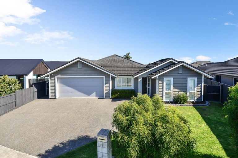 Photo of property in 47 Meadowfield Street, Flagstaff, Hamilton, 3210