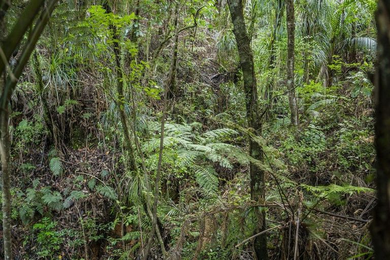 Photo of property in 1621 The 309 Road, Kaimarama, Whitianga, 3591