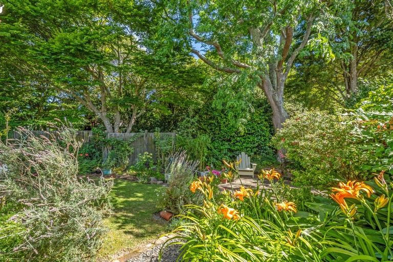 Photo of property in 20 Collingwood Street, Hokowhitu, Palmerston North, 4410