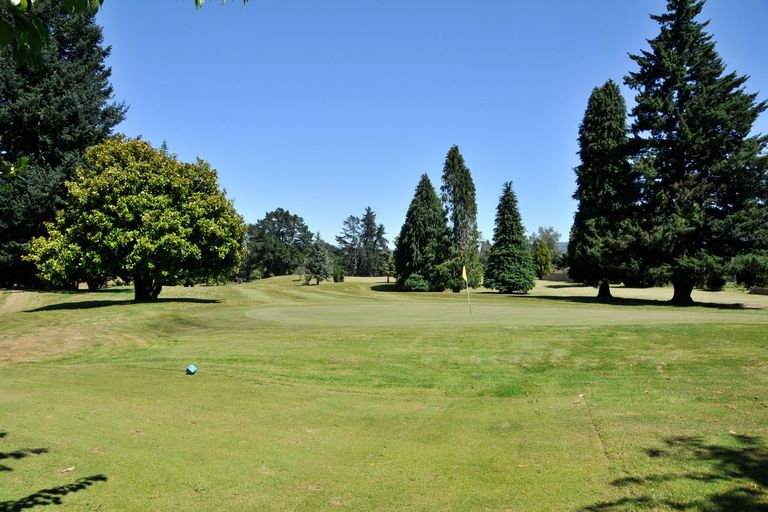 Photo of property in 37 Otonga Road, Springfield, Rotorua, 3015