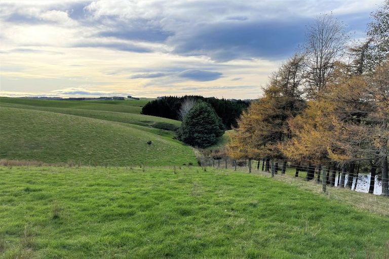 Photo of property in 318 Hillend Road, Hillend, Balclutha, 9272