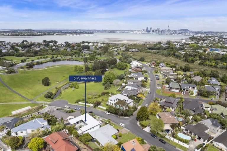 Photo of property in 5 Puawai Place, Northcote, Auckland, 0627