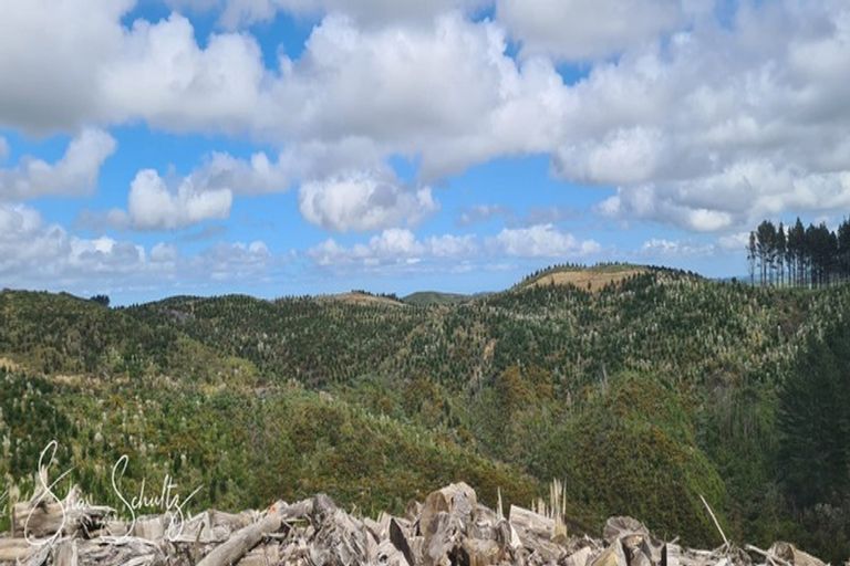 Photo of property in 872 Bickerstaffe Road, Maungaturoto, 0587