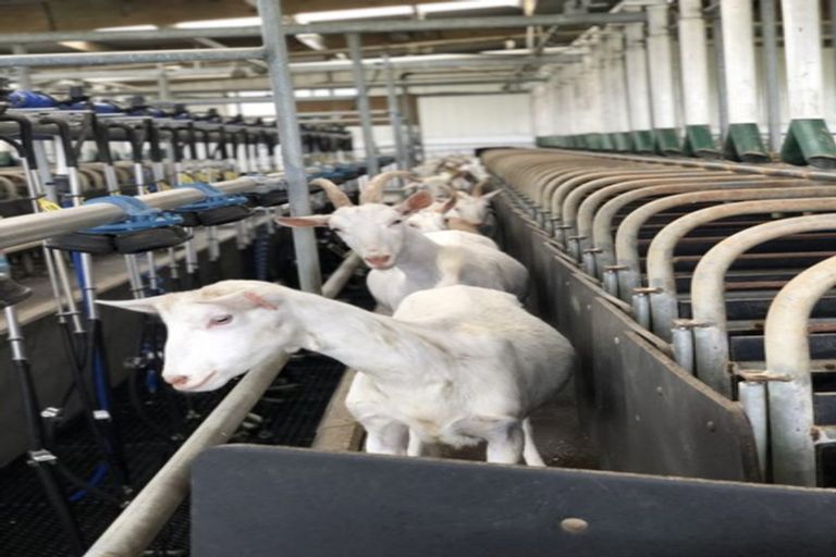 Photo of property in 354 Paraite Road, Paraite, New Plymouth, 4373