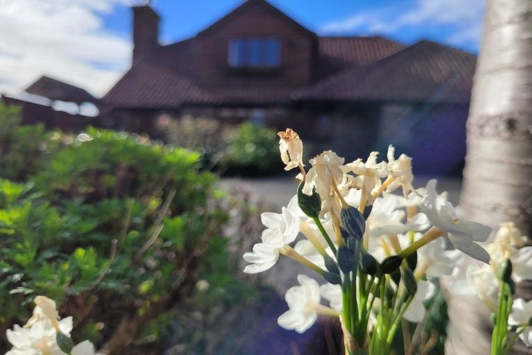 Photo of property in 8 Point Road, Monaco, Nelson, 7011