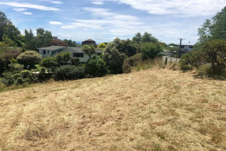 Photo of property in 64 Durham Drive, Havelock North, 4130