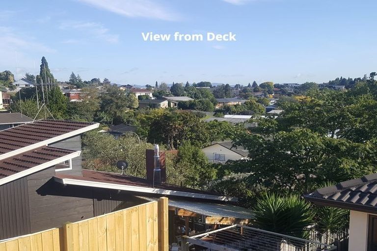 Photo of property in 11 Thomson Avenue, Dinsdale, Hamilton, 3204