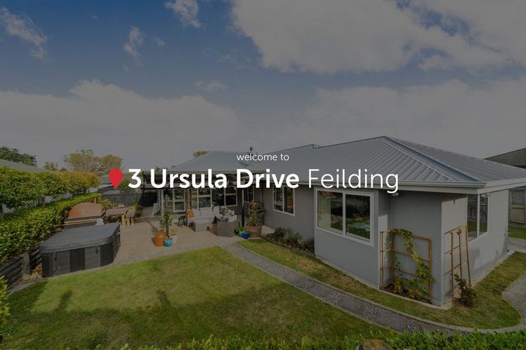 Photo of property in 3 Ursula Drive, Feilding, 4702
