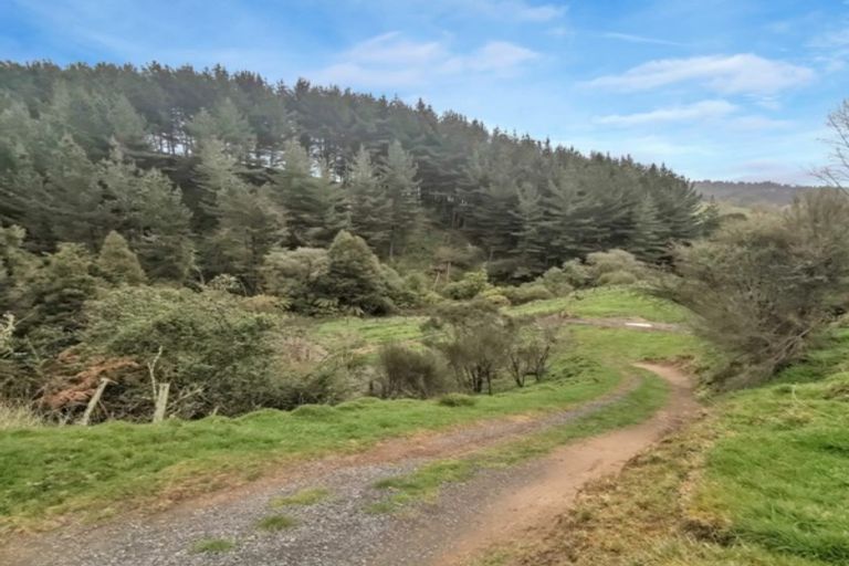 Photo of property in 1471 Kururau Road, Aukopae, Taumarunui, 3991