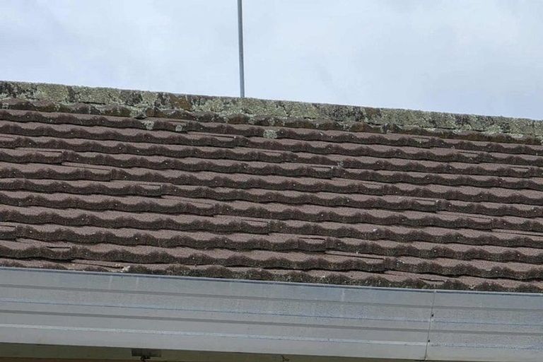 Photo of property in 17 Harold Avenue, Kaikohe, 0405