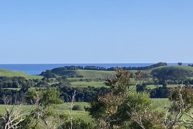 Photo of property in 41a Wharekauri Road, Mimi, Urenui, 4377