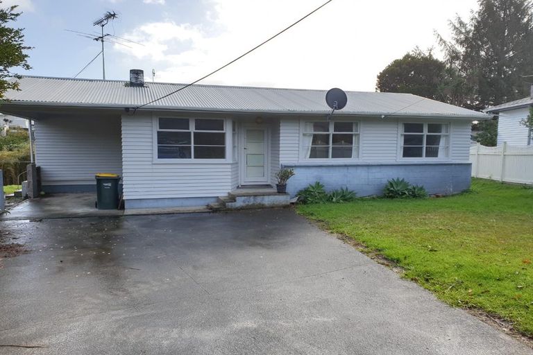 Photo of property in 24 Hinau Street, New Lynn, Auckland, 0600