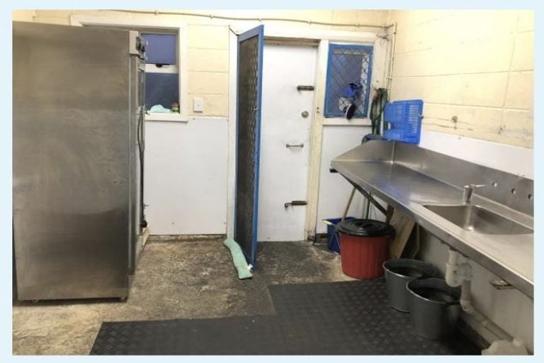 Photo of property in 57 Merton Street, Trentham, Upper Hutt, 5018