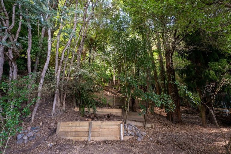 Photo of property in 52 Gosling Grove, Turangi, 3334