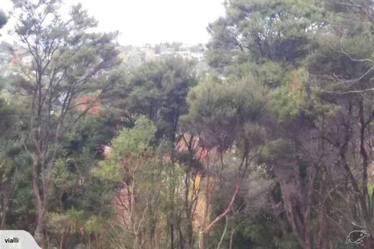 Photo of property in 24 Mccahon Place, Titirangi, Auckland, 0604