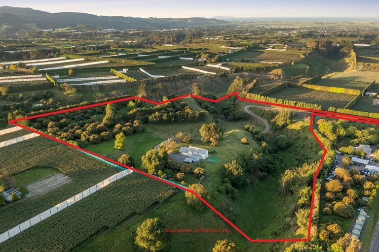 Photo of property in 612 No 1 Road, Te Puke, 3182