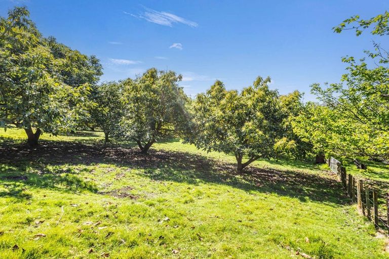 Photo of property in 70 Nilgiri Road, Poraiti, Napier, 4182