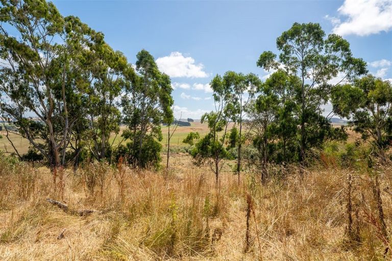 Photo of property in 221 Ardgowan Road, Ardgowan, Oamaru, 9492