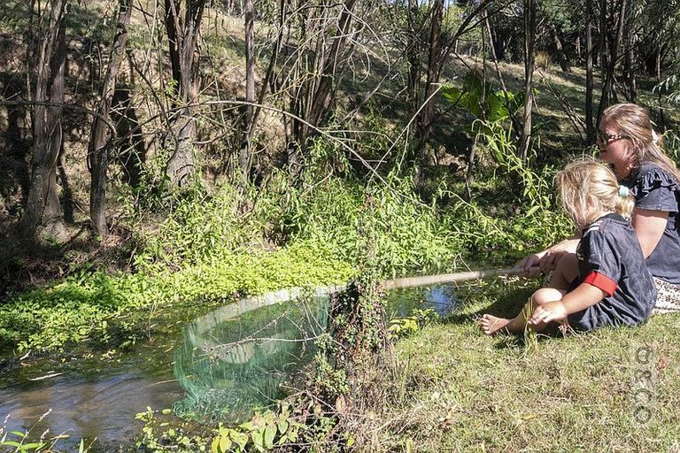 Photo of property in 231 Waitakere Road, Taupaki, Henderson, 0782