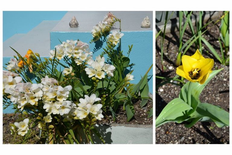 Photo of property in 49 Holyoake Crescent, Kawerau, 3127