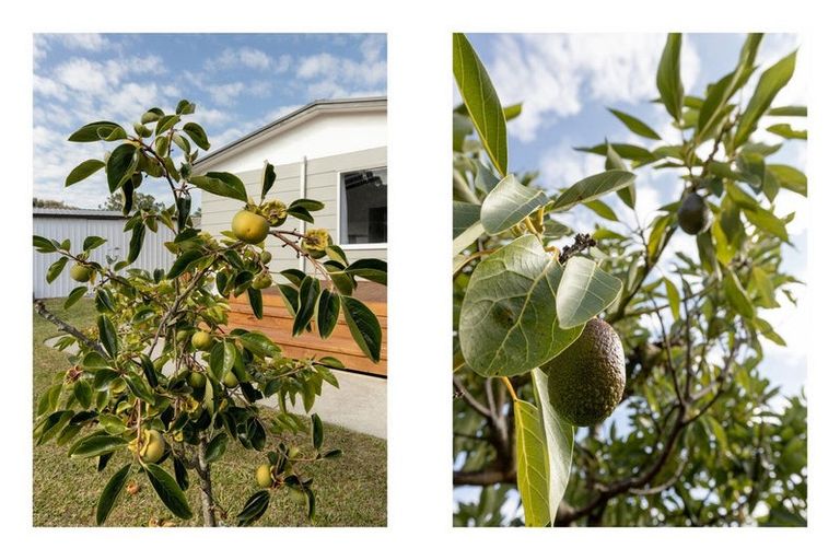 Photo of property in 16 Emme Allan Road, Kawerau, 3127