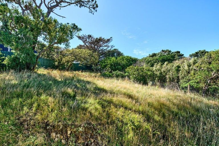 Photo of property in 17 Ellora Street, Ngaio, Wellington, 6035