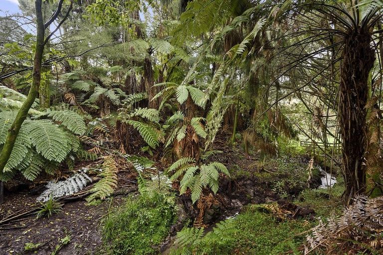 Photo of property in 7 Bellwood Place, Chartwell, Hamilton, 3210