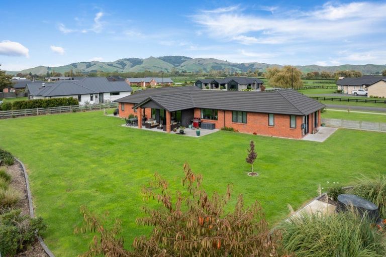 Photo of property in 43 Seachange Drive, Leamington, Cambridge, 3432