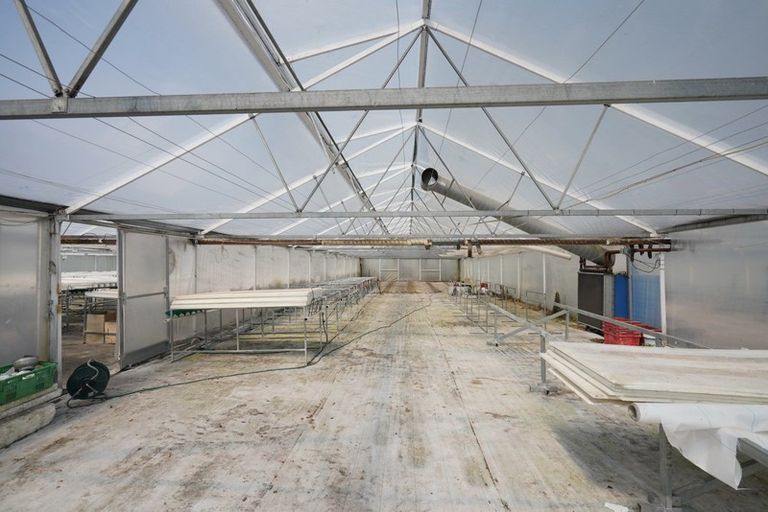 Photo of property in 65 Walters Road, Marshland, Christchurch, 8051