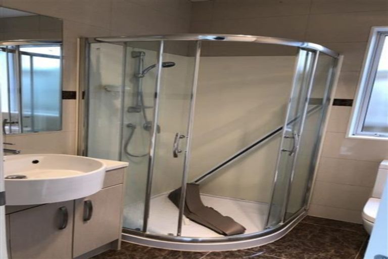 Photo of property in 48 Helianthus Avenue, Flat Bush, Auckland, 2019