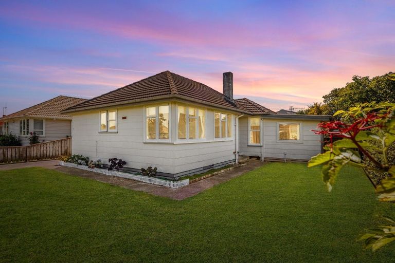 Photo of property in 125 Limbrick Street, Terrace End, Palmerston North, 4410