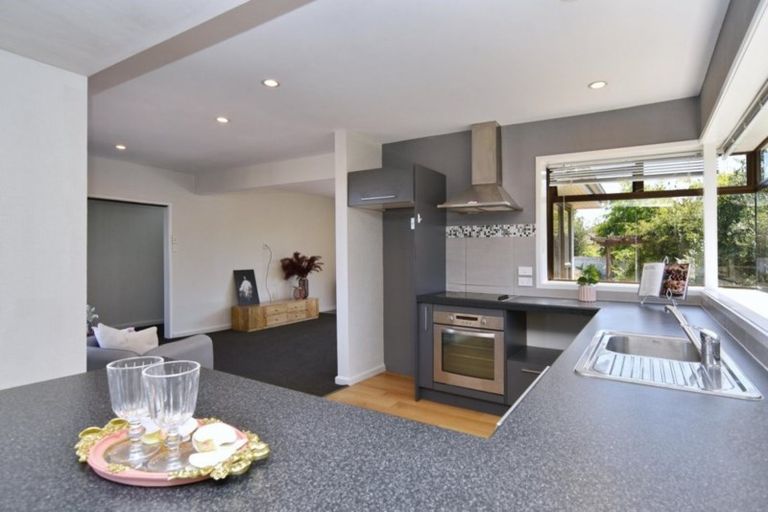 Photo of property in 42 Hope Street, Shirley, Christchurch, 8013