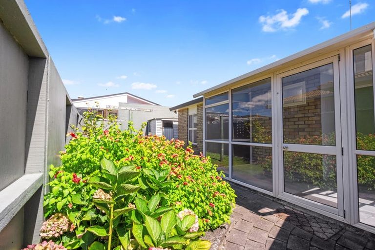 Photo of property in 20b Laing Place, Otumoetai, Tauranga, 3110