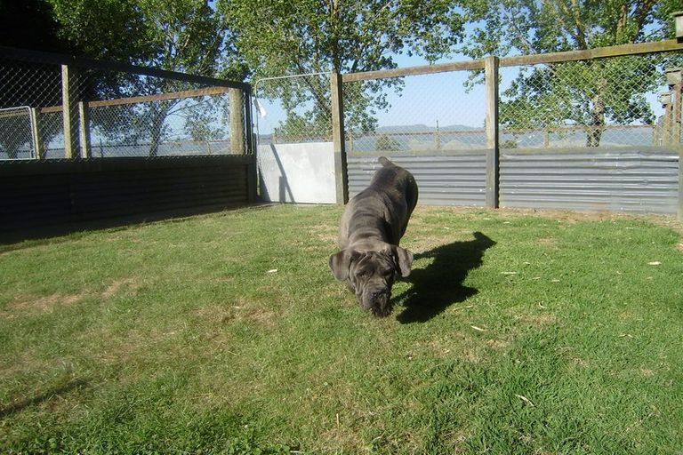 Photo of property in 349 Hauraki Road, Orongo, Thames, 3574