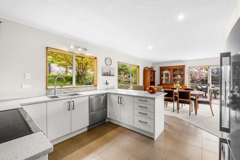 Photo of property in 1180 East Coast Road, Redvale, Albany, 0794