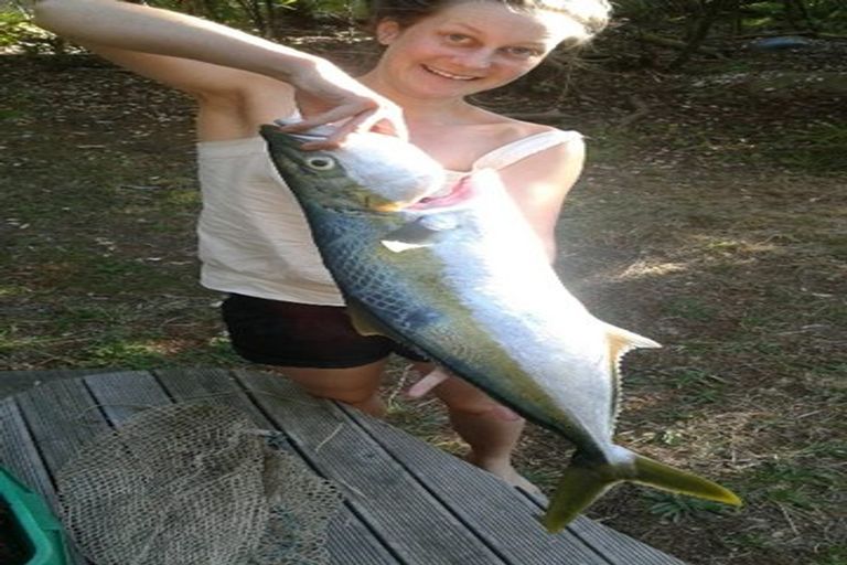 Photo of property in 60 Totara Avenue, Collingwood, 7073