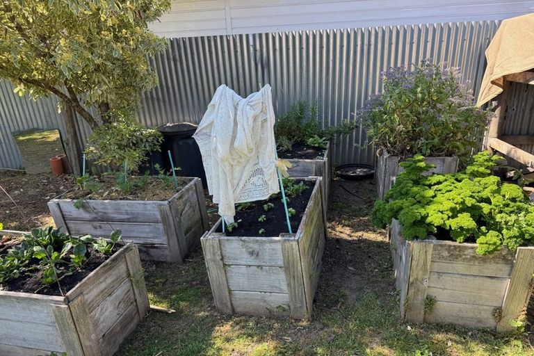 Photo of property in 619 Duke Street, Mahora, Hastings, 4120