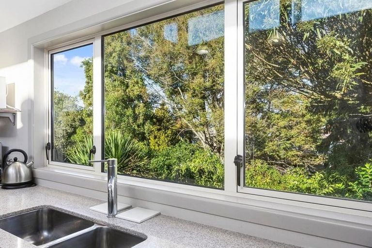 Photo of property in 56 Pacific Street, Roslyn, Dunedin, 9010