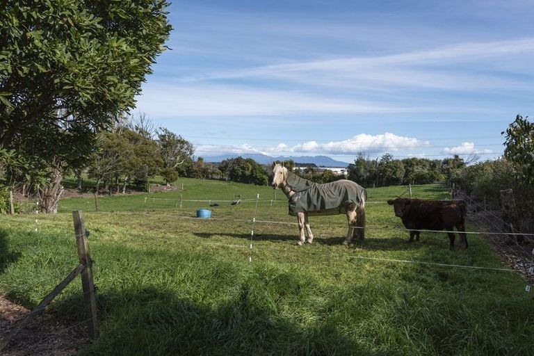 Photo of property in 11 Wills Road, Bell Block, New Plymouth, 4312
