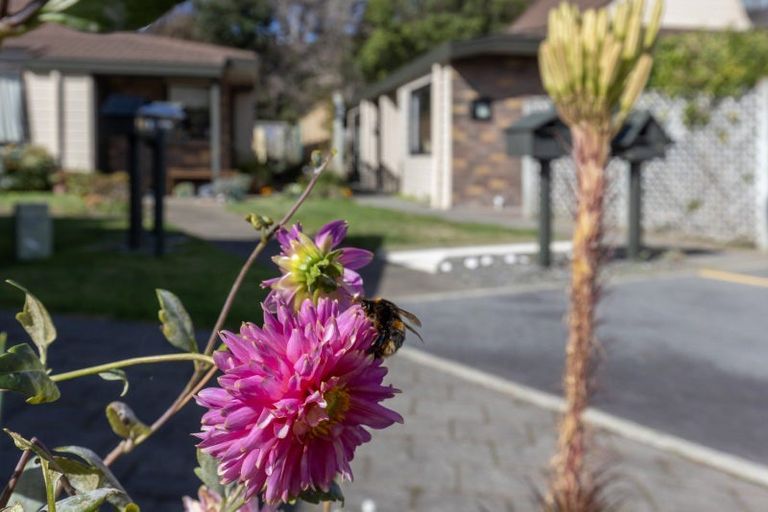 Photo of property in Rimu Village, 13/72 Rimu Road, Raumati Beach, Paraparaumu, 5032