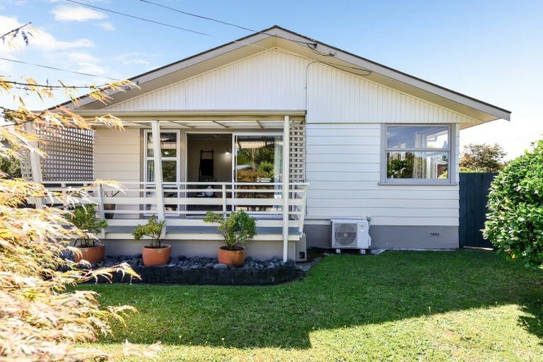 Photo of property in 54 Fitzroy Avenue, Fitzroy, Hamilton, 3206