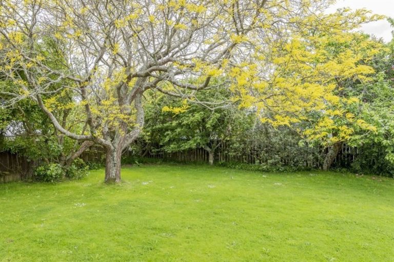 Photo of property in 11 Burn Street, Levin, 5510