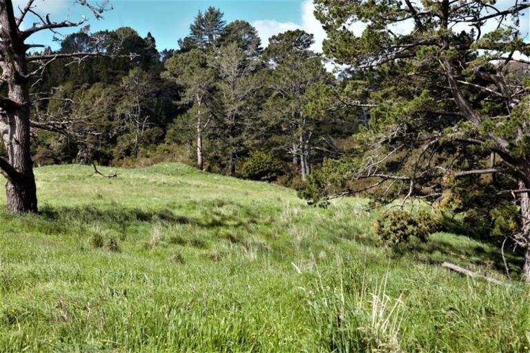 Photo of property in 248 Kanohi Road, Kaukapakapa, 0873