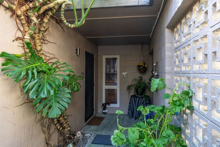 Photo of property in 38 Aurora Terrace, Hillcrest, Hamilton, 3216