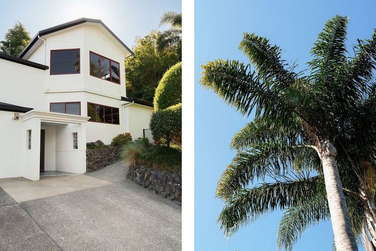 Photo of property in 27 Westridge Drive, Tauriko, Tauranga, 3110
