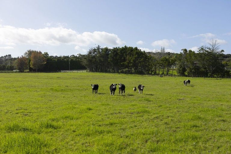 Photo of property in 521b Okahu Road, Kaitaia, 0481