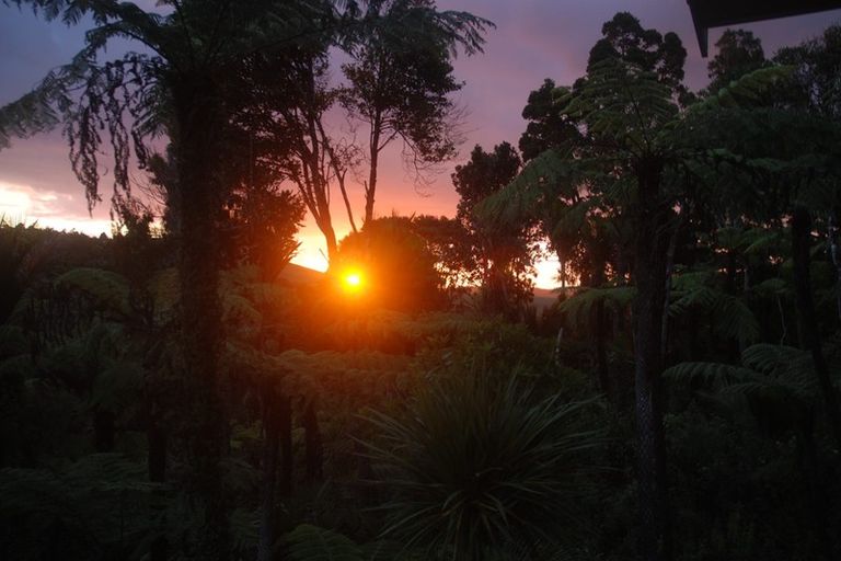 Photo of property in 45 Jonkers Road, Waitakere, Henderson, 0782