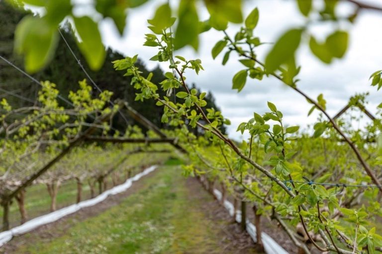 Photo of property in 811 Hakarimata Road, Huntly, 3771