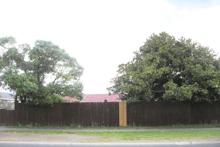 Photo of property in 33 Rawhiti Street, Taupo, 3330